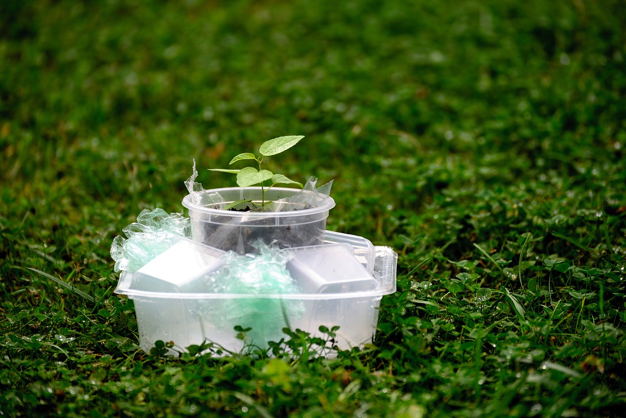 The Importance of Environmental Impact Assessment in Construction